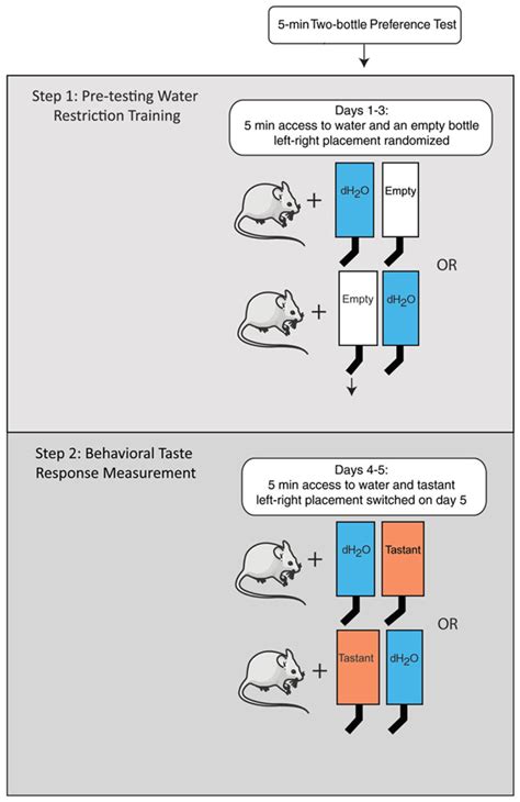 conditioned taste aversion two bottle test vs one bottle test|Conditioned taste aversion versus avoidance: A re .